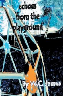 Echoes from the Playground : None