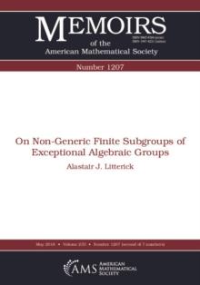 On Non-Generic Finite Subgroups of Exceptional Algebraic Groups