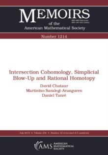 Intersection Cohomology, Simplicial Blow-Up and Rational Homotopy