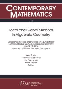 Local and Global Methods in Algebraic Geometry