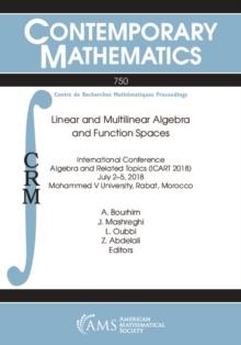 Linear and Multilinear Algebra and Function Spaces