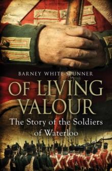 Of Living Valour : The Story of the Soldiers of Waterloo