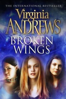 Broken Wings