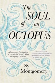 The Soul of an Octopus : A Surprising Exploration Into the Wonder of Consciousness