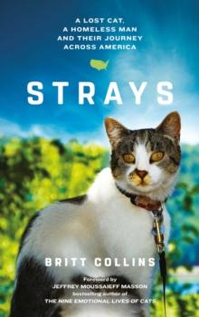 Strays : The True Story of a Lost Cat, a Homeless Man and Their Journey Across America