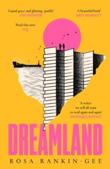 Dreamland : A postcard from a future that's closer than we think