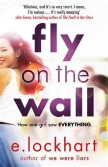 Fly on the Wall : From the author of the unforgettable bestseller, We Were Liars