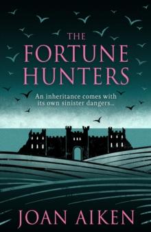 The Fortune Hunters : A spine-tingling gothic thriller