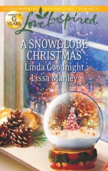 A Snowglobe Christmas : Yuletide Homecoming / a Family's Christmas Wish