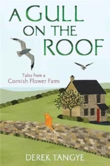 A Gull on the Roof : Tales from a Cornish Flower Farm