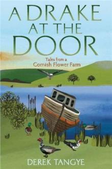 A Drake at the Door : Tales from a Cornish Flower Farm