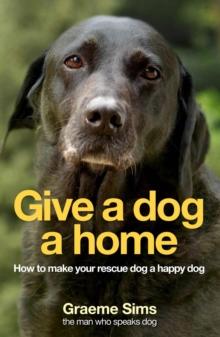 Give a Dog a Home : How to make your rescue dog a happy dog