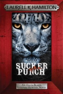 Sucker Punch : Anita Blake 27