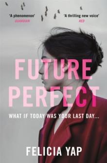 Future Perfect : The Most Exciting High-Concept Novel of the Year