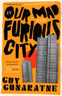 In Our Mad and Furious City : Winner of the International Dylan Thomas Prize