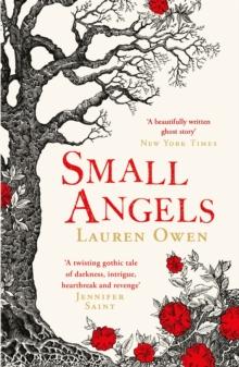 Small Angels : 'A twisting gothic tale of darkness, intrigue, heartbreak and revenge' Jennifer Saint