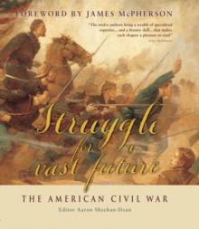 Struggle for a vast future : The American Civil War