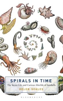 Spirals in Time : The Secret Life and Curious Afterlife of Seashells