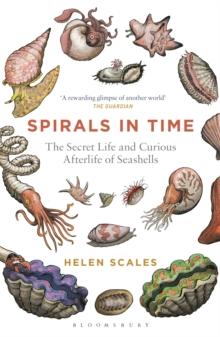 Spirals in Time : The Secret Life and Curious Afterlife of Seashells