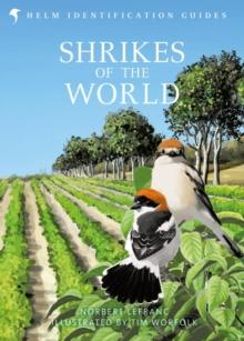 Shrikes of the World : BB/BTO BIRD BOOK OF THE YEAR 2023