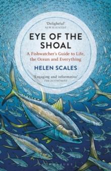 Eye of the Shoal : A Fishwatcher's Guide to Life, the Ocean and Everything