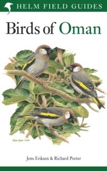 Birds of Oman