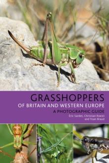 Grasshoppers of Britain and Western Europe : A Photographic Guide