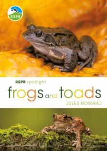 RSPB Spotlight Frogs And Toads