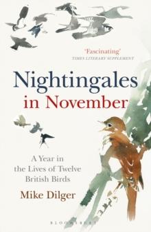 Nightingales in November : A Year in the Lives of Twelve British Birds