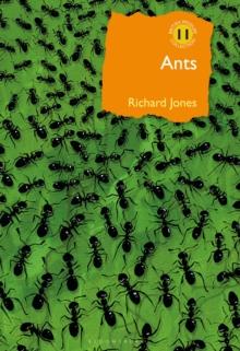 Ants : The ultimate social insects