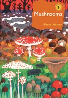 Mushrooms : The natural and human world of British fungi