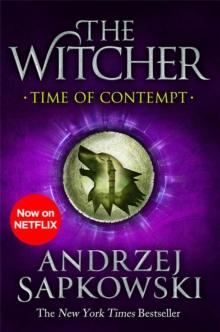 Time of Contempt : The bestselling novel which inspired season 3 of Netflixs The Witcher