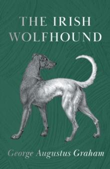 The Irish Wolfhound