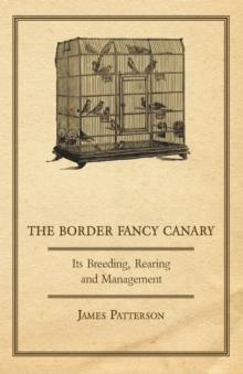 The Border Fancy Canary - Its Breeding, Rearing And Management