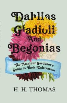 Dahlias, Gladioli and Begonias : The Amateur Gardener's Guide to Their Cultivation