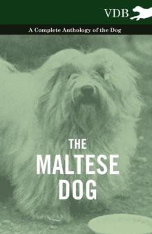 The Maltese Dog - A Complete Anthology of the Dog