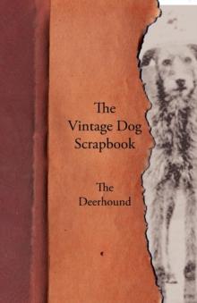 The Vintage Dog Scrapbook - The Deerhound