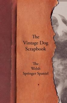 The Vintage Dog Scrapbook - The Welsh Springer Spaniel