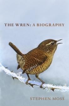 The Wren : The perfect Christmas gift for bird lovers