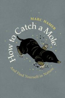 How to Catch a Mole : And Find Yourself in Nature