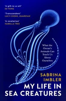 My Life in Sea Creatures : A young queer science writer s reflections on identity and the ocean