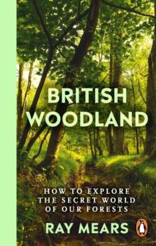 British Woodland : How to explore the secret world of our forests