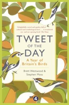 Tweet of the Day : A Year of Britain's Birds from the Acclaimed Radio 4 Series