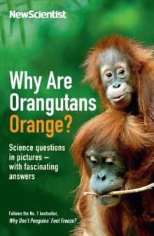 Why Are Orangutans Orange? : Science questions in pictures -- with fascinating answers