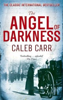 The Angel of Darkness : Book 2