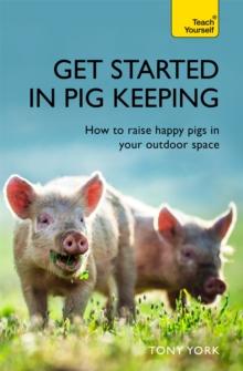 Get Started In Pig Keeping : How to raise happy pigs in your outdoor space