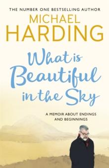 What is Beautiful in the Sky : A book about endings and beginnings