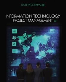 Information Technology Project Management