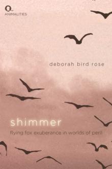 Shimmer : Flying Fox Exuberance in Worlds of Peril