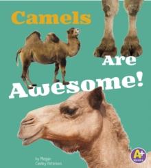 Camels Are Awesome!